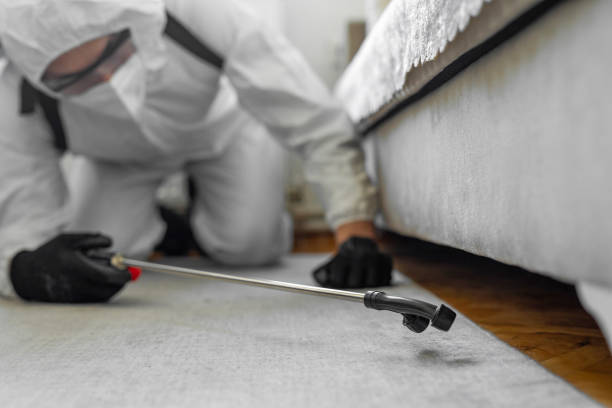 Professional Cockroach Control technician working in Roland, OK