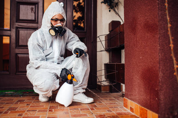 Reliable Cockroach Control contractor in Roland, OK by Nex Pest Control